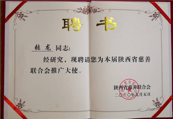 王建領(lǐng)解讀陜西省新聞，深度剖析與觀(guān)點(diǎn)闡述